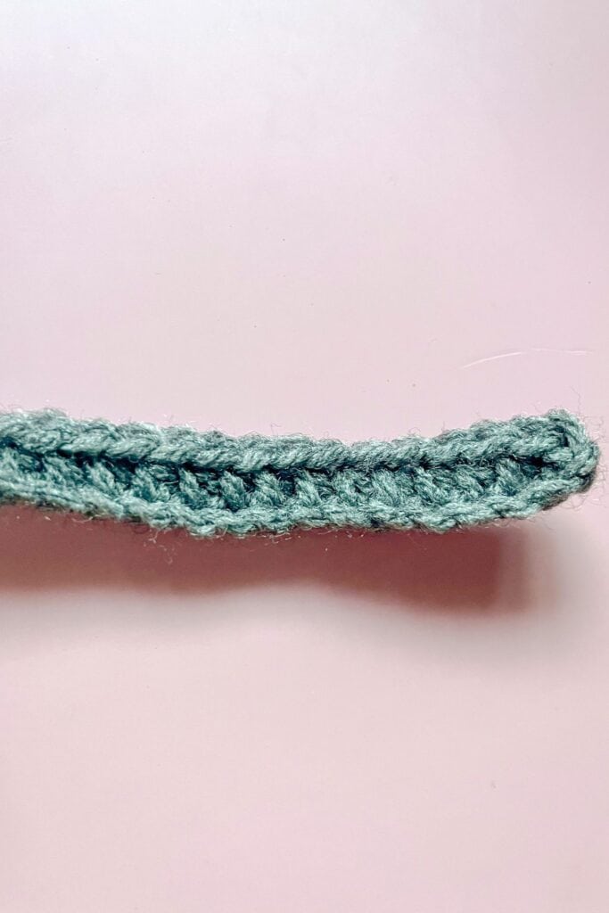 Cat Hat Crochet Pattern thecaffeinatedsnail com