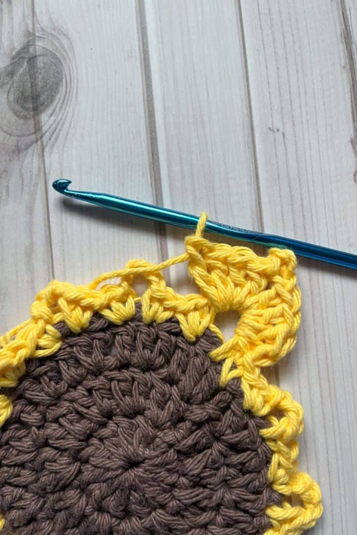 Sunflower Coaster Crochet Pattern - thecaffeinatedsnail.com