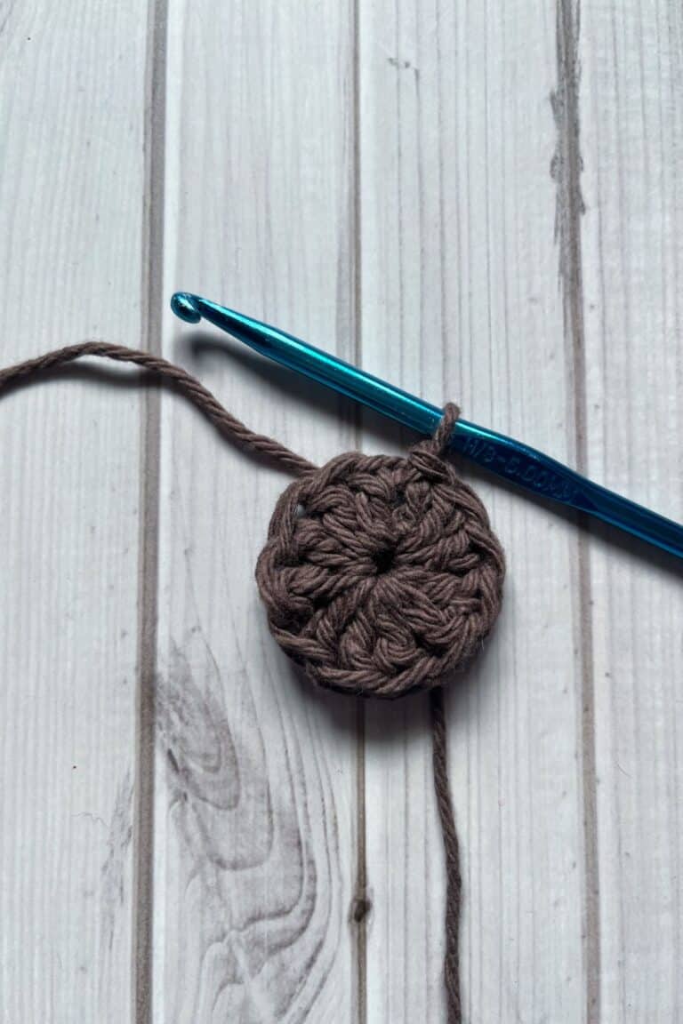 Sunflower Coaster Crochet Pattern - thecaffeinatedsnail.com
