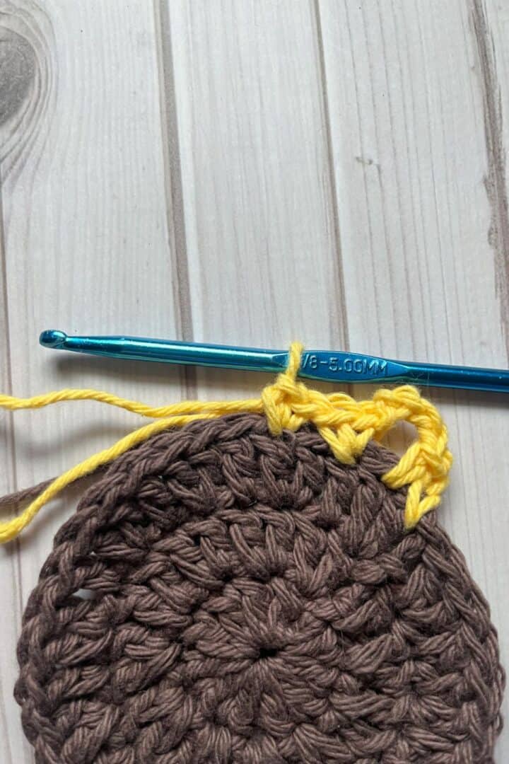 Sunflower Coaster Crochet Pattern - thecaffeinatedsnail.com