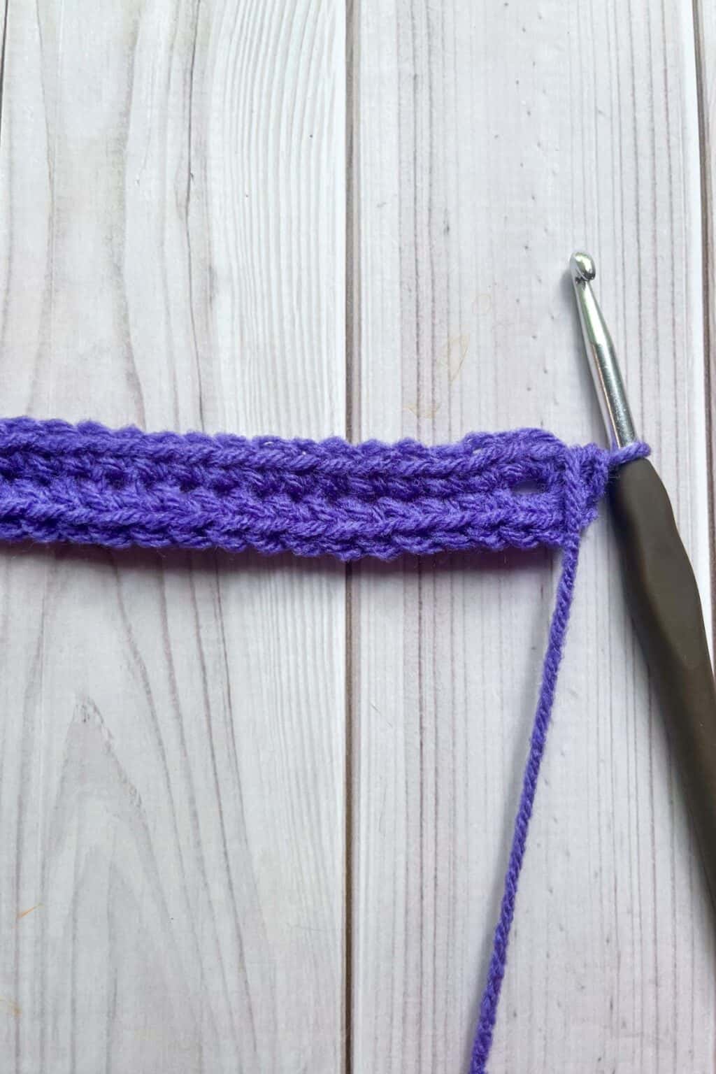 Crochet Bat Bag Pattern - thecaffeinatedsnail.com