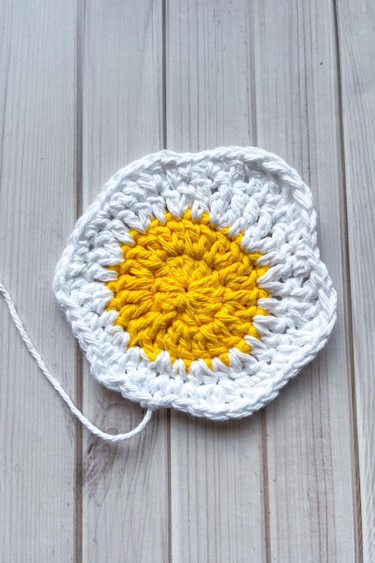 Last round of the crochet egg coaster.