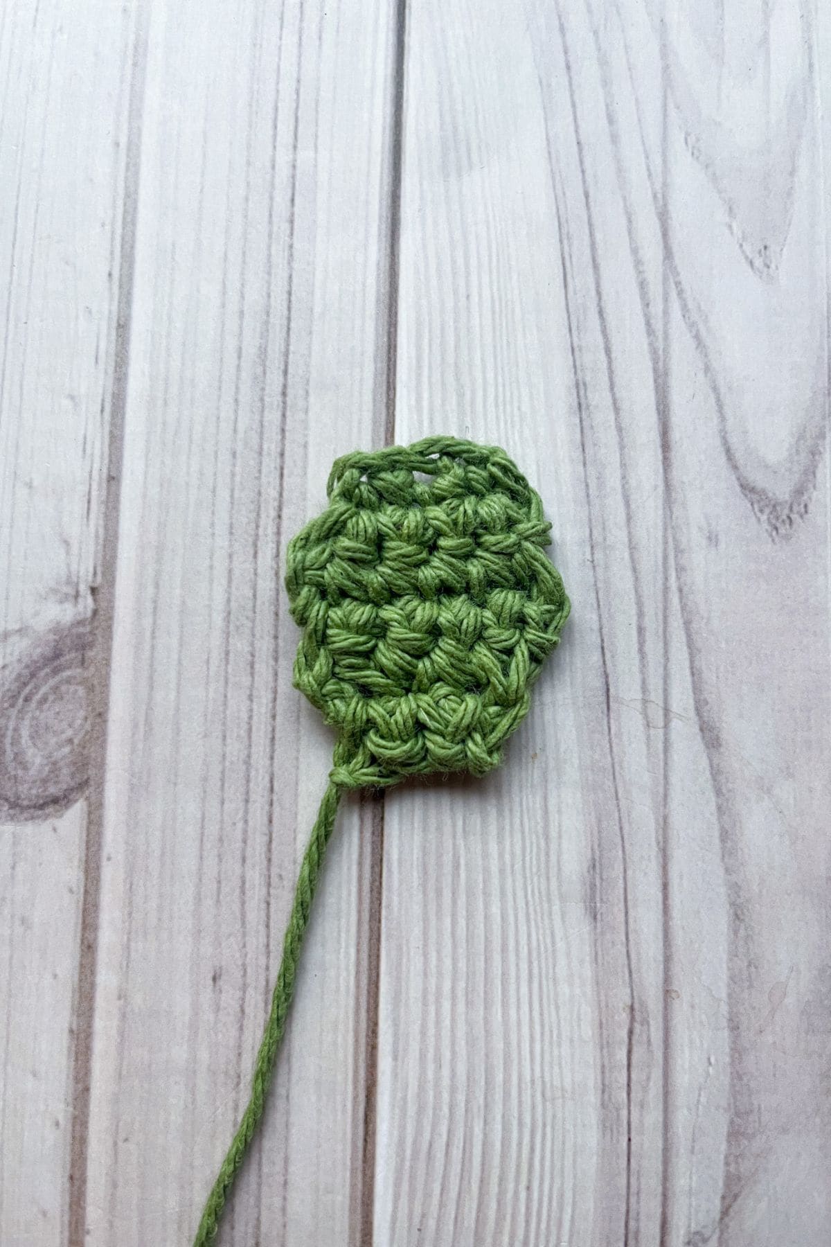 Finished crochet turtle head.