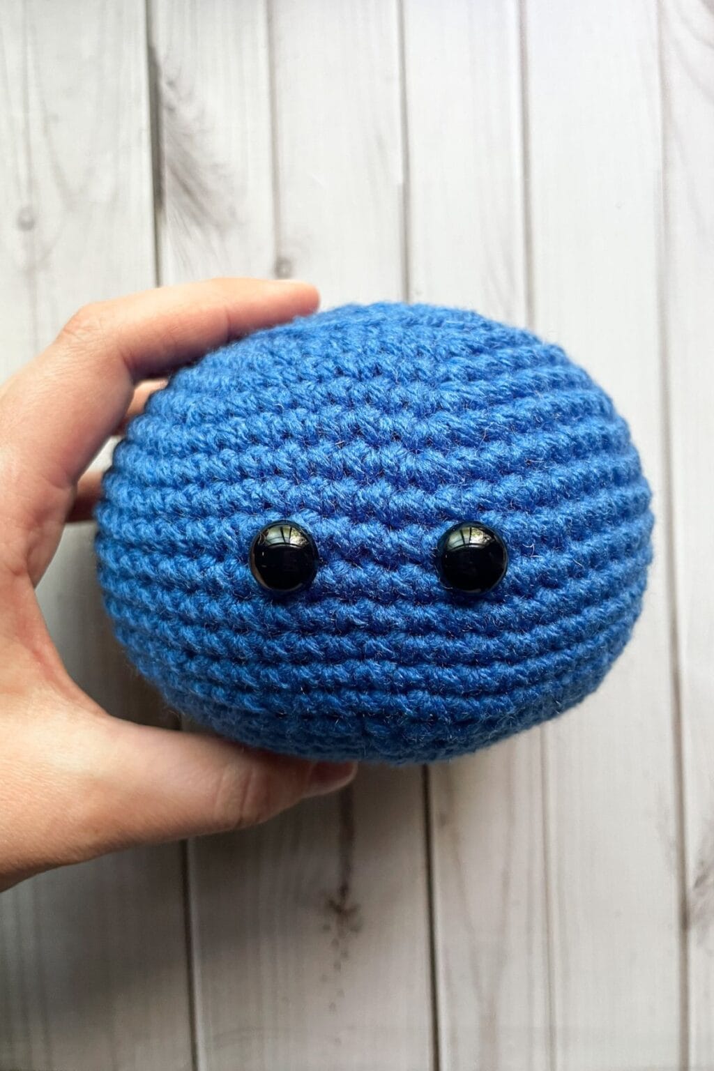Crochet Blueberry Pattern - thecaffeinatedsnail.com