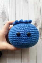 Crochet Blueberry Pattern - thecaffeinatedsnail.com