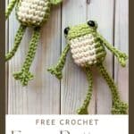 Crochet frog pattern promo image.