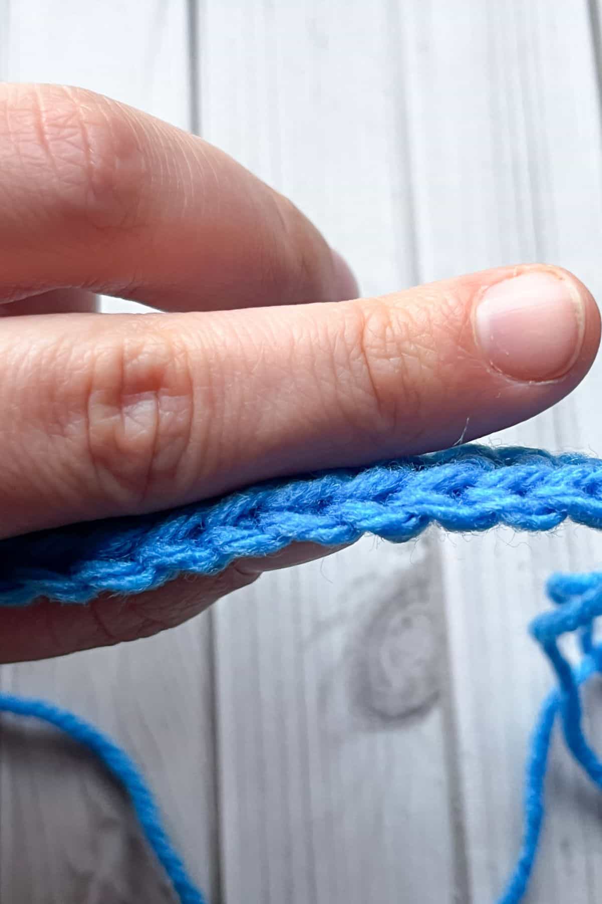 Showing you the top of the sc stitches.