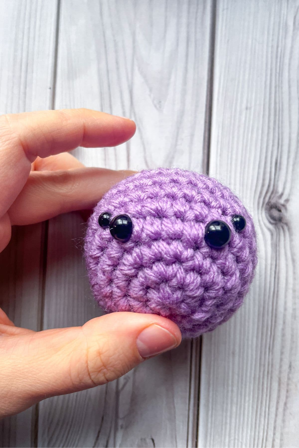 Crochet spider head.