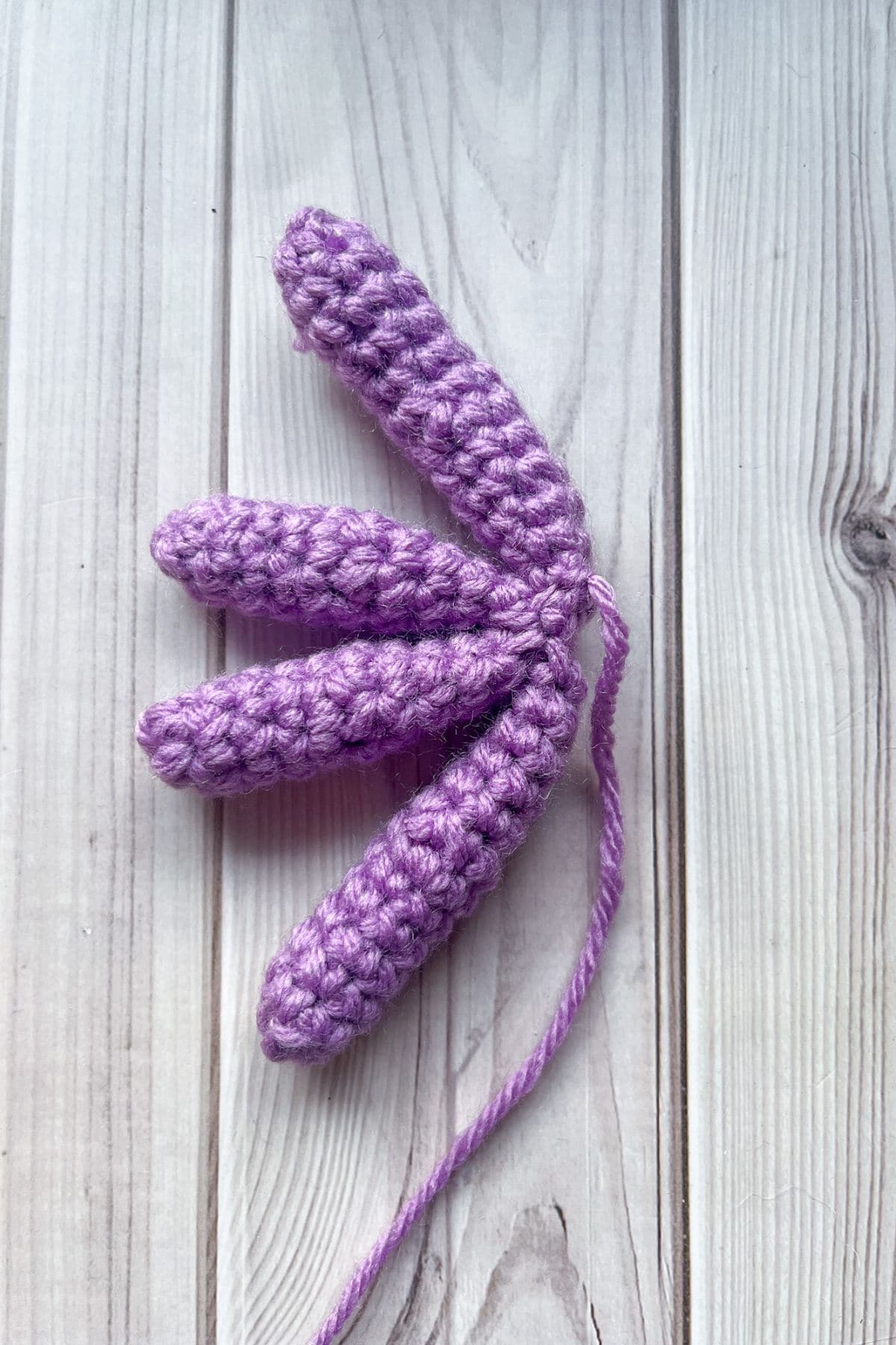 Crochet spider arms sewn together.