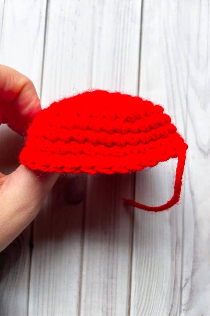 Crochet Ladybug Pattern - thecaffeinatedsnail.com