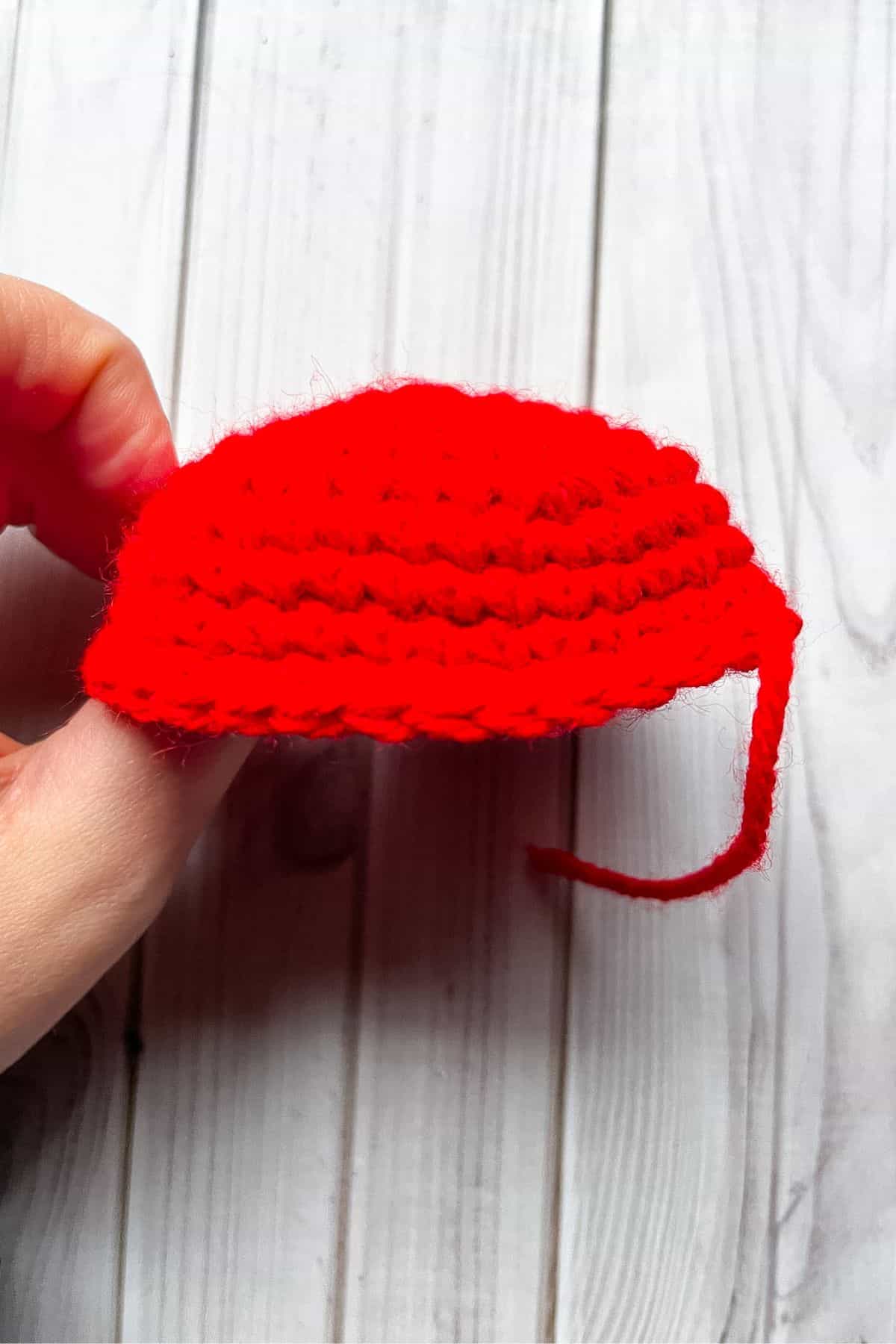 Shell of the crochet ladybug.
