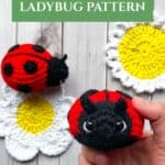 Promo image for the crochet ladybug pattern.