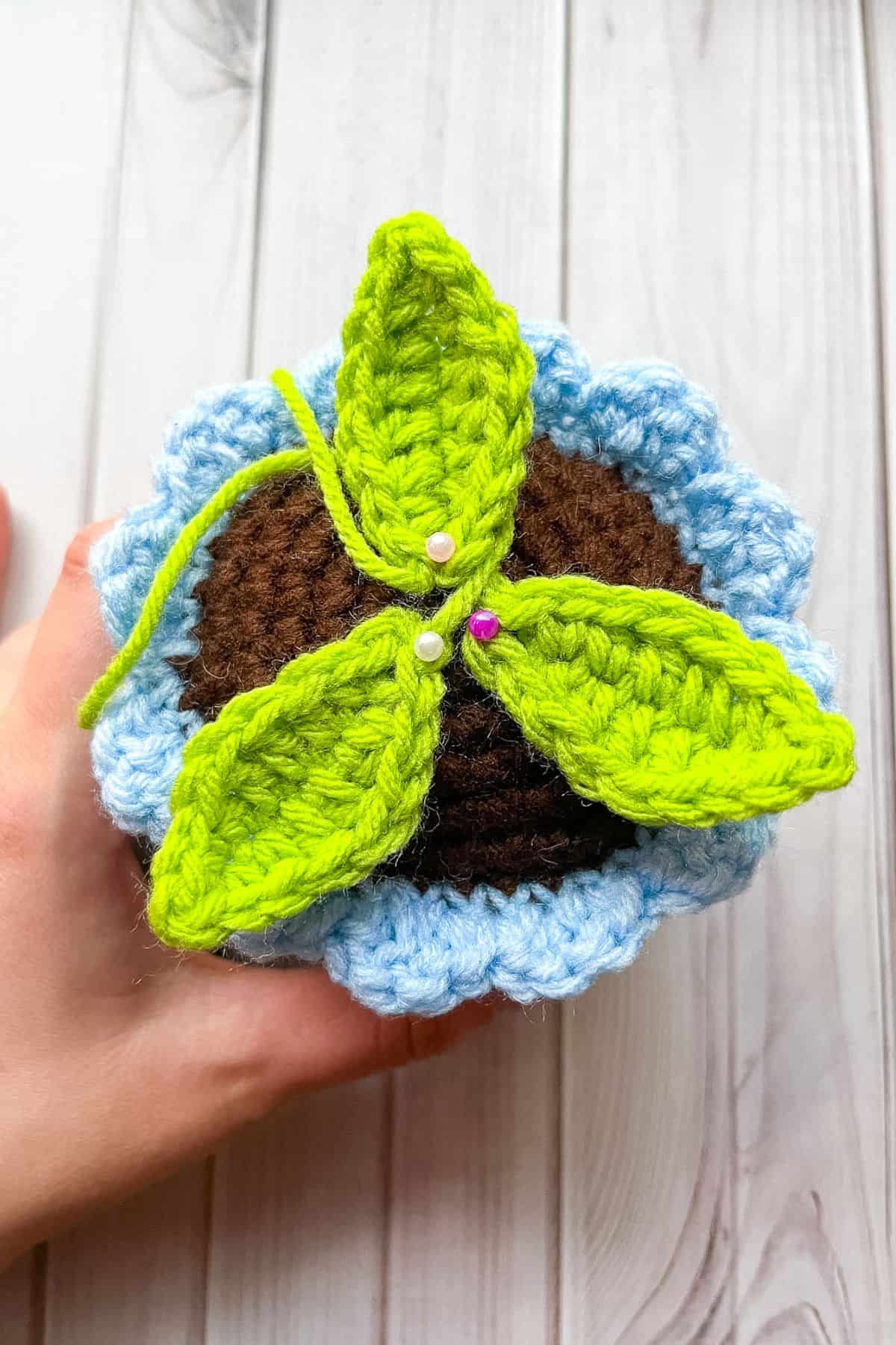 Where to place 3 leaves for the crochet forget me not pot.