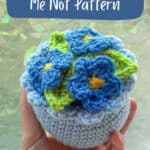 Promo image for the crochet forget me nots.