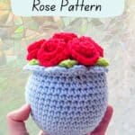 Promo image for the crochet potted rose pattern.