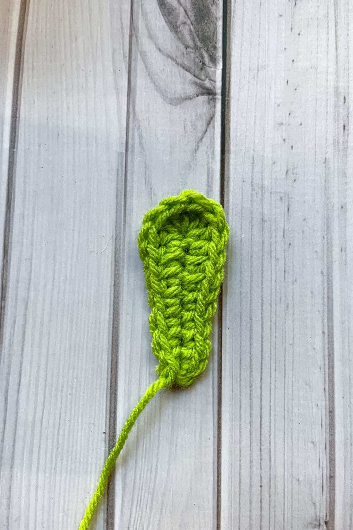 Crochet tulip leaf.
