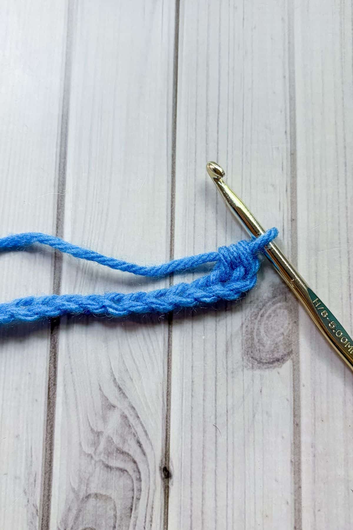 Crochet chain with a half double crochet.