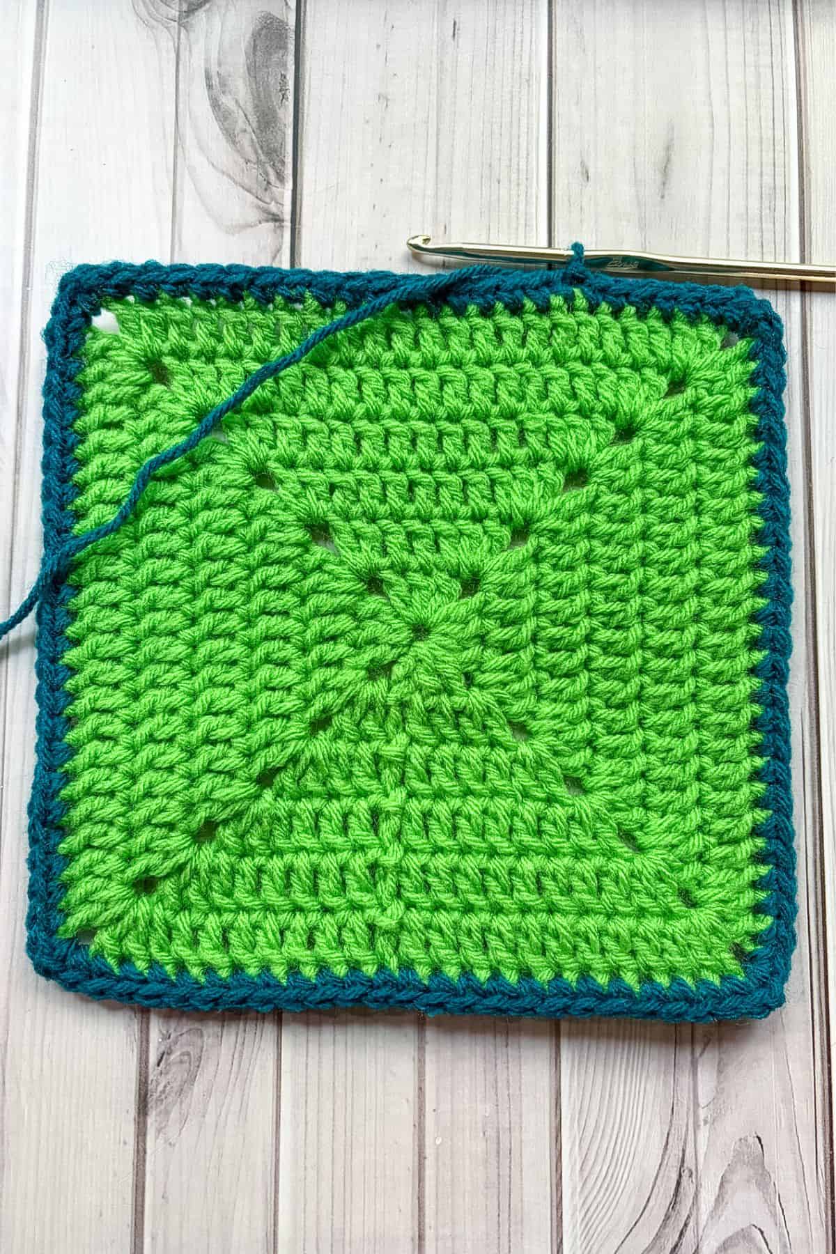 A round of single crochets to anchor the shell stitches to.